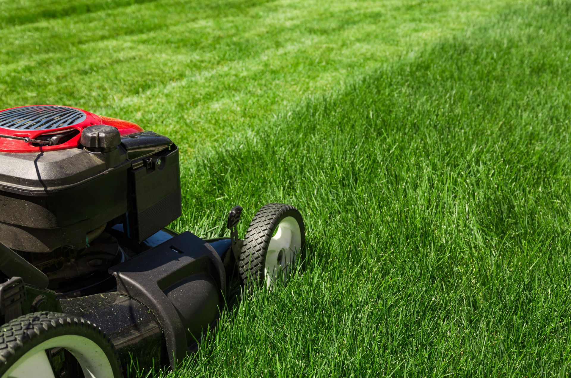 lawn mowing labelle florida